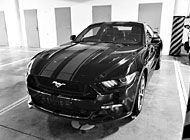 Instalace polepů - Mustang