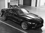 Instalace polepů - Mustang