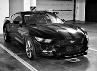 Instalace polepů - Mustang